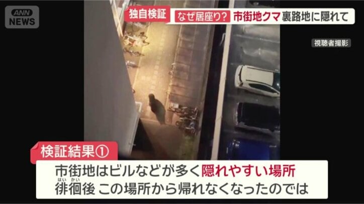 クマにとっては隠れやすい場所