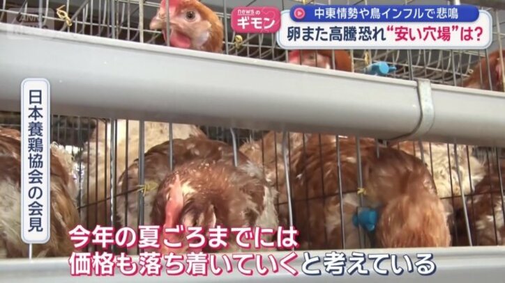 「今年の夏ごろまでには価格も落ち着いていく」