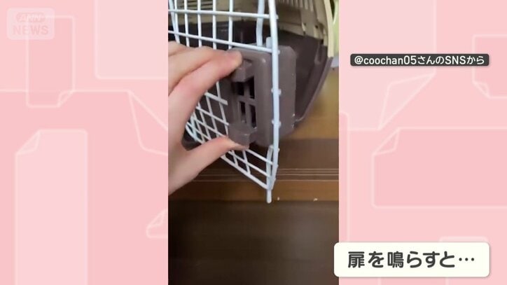 ケースを鳴らすと…