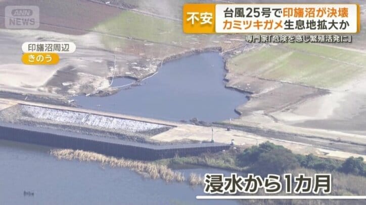 18日の千葉・印旛沼周辺