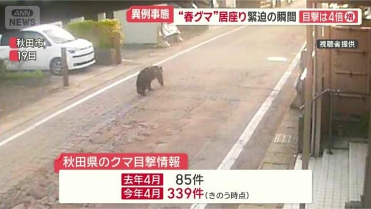 去年の同じ時期の4倍