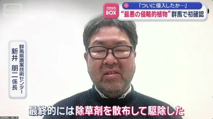 「最終的には除草剤で駆除」