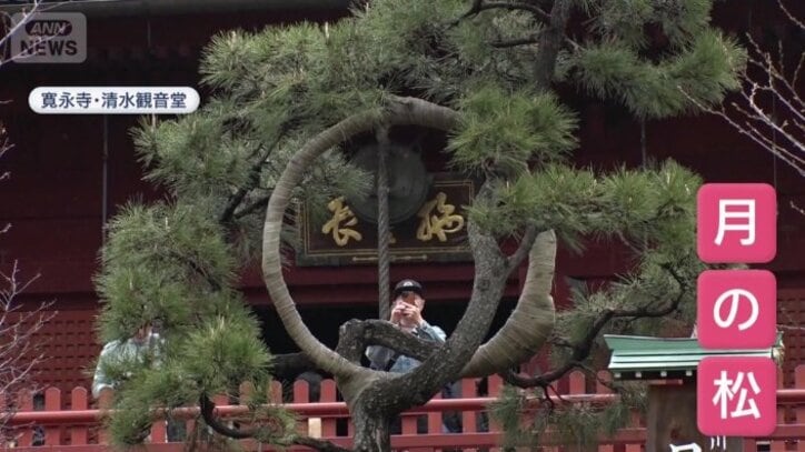 寛永寺・清水観音堂の境内にある…