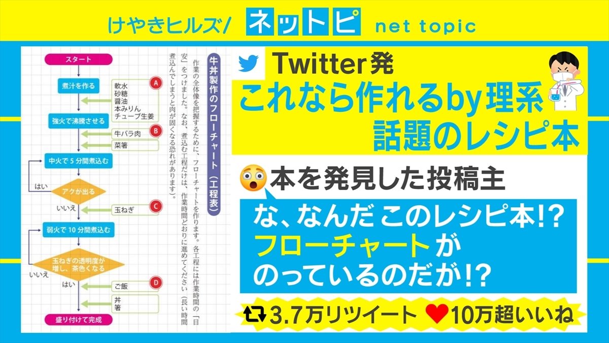 料理に必要なのは「フローチャート」と「定規」!? 理系のためのレシピ