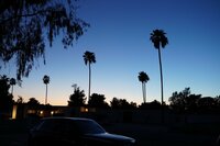 ダルビッシュ有『お気に入りの場所』