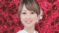 【映像】渡辺美奈代の彩り鮮やかな手作り弁当