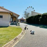 鈴木あきえ『家族でお出かけ』