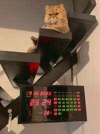 広田レオナ『え？脱水症状だったの？』