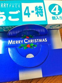 川島菜月『クリスマスパーティーで忘れ去られていた物』