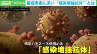 【映像】「感染増強抗体」“重症化リスク”調べる手がかりに？
