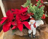 大島奈保美『日曜日にMRI検査』