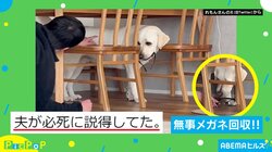 お願い！…返して！ 投稿者夫のメガネを奪い“遊んでアピール”する愛犬の姿に「必死に交渉してるお父さんがカワイイですね」「無事に戻ってきて良かった」と反響続々