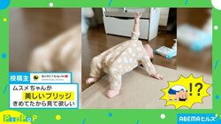驚異の身体能力！ 生後5カ月の娘がとった“華麗な体勢”に脱帽「将来が楽しみ」「美しすぎます！」