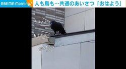 「オハヨッオハヨッ」何度も“朝の挨拶”をするカラスが話題