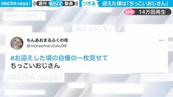 「ちっこいおじさん」家に迎えたチンチラの食事中の癒やされる風貌に「この可愛さツボ」の声