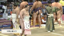 驚くほどかわいい白熊の化粧まわし