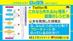 料理に必要なのは「フローチャート」と「定規」!? 理系のためのレシピ本がTwitterで話題