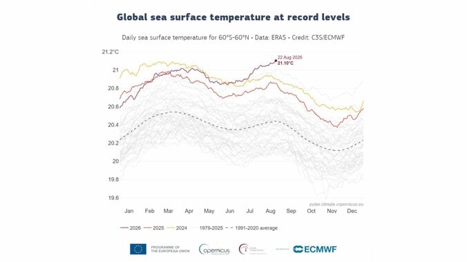 【速報】世界の海面水温が観測史上最高 8月に記録は異例 エルニーニョも影響か 2枚目