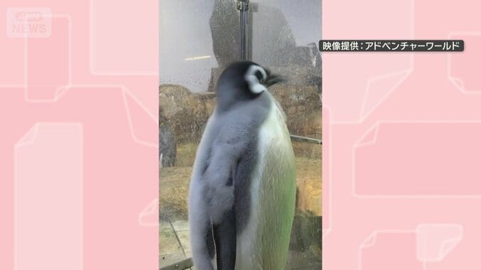 魚を口にしても…イヤイヤ