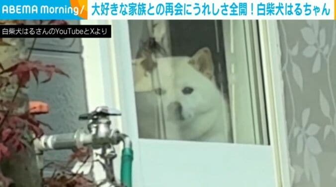 はるちゃん