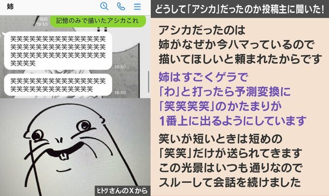 アシカの絵を見た姉の“強烈”なリアクション