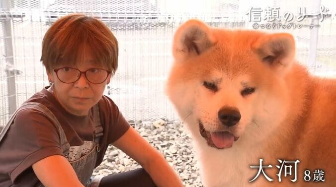 ドッグトレーナーの鈴木明子さんと秋田犬の大河