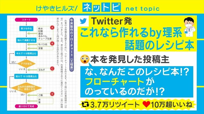 料理に必要なのは「フローチャート」と「定規」!? 理系のためのレシピ本がTwitterで話題 1枚目