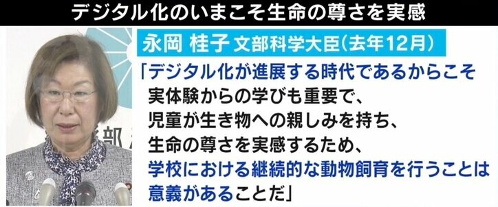 「“犬や猫より安いから”と安易に」卯年に過剰ブーム? うさぎの学校飼育廃止を求める署名も