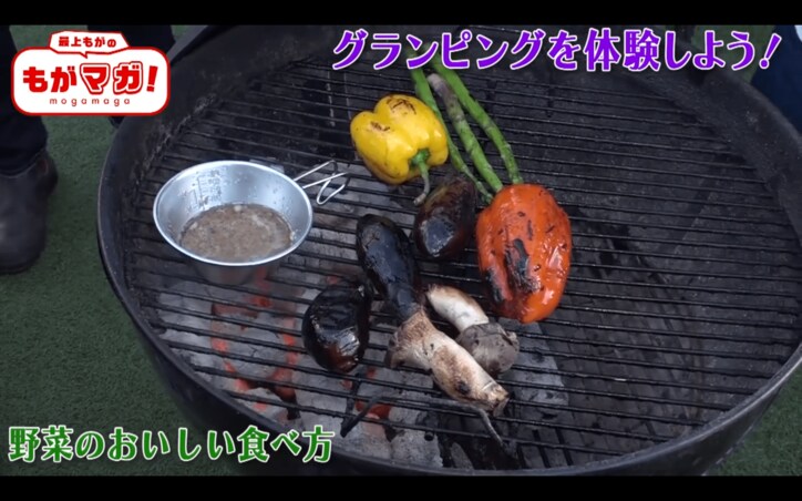 最上もがも絶賛 キャンプで食べたいアウトドアレシピ