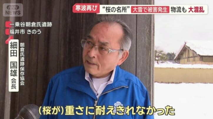 「50本くらいは折れています」