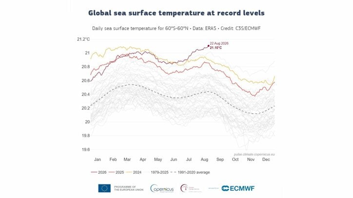 【速報】世界の海面水温が観測史上最高 8月に記録は異例 エルニーニョも影響か