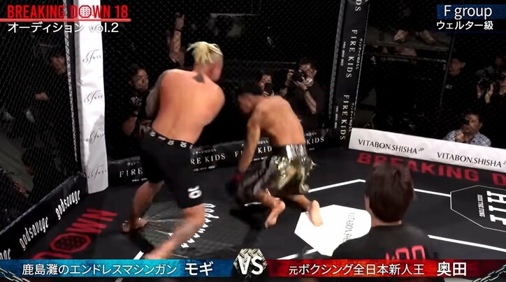 【写真・画像】　1枚目