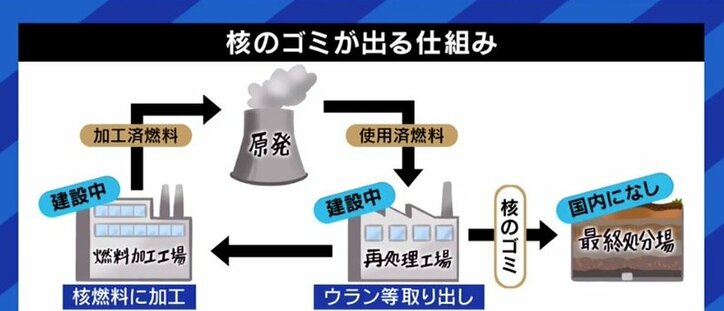 この冬、首都圏では電力危機の可能性も?…脱石炭と脱原発、目標達成は本当に可能なのか