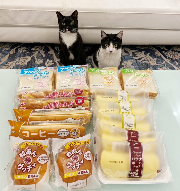 藤あや子 通販で取り寄せた 最高傑作 なパンを紹介 美味しすぎる 話題 Abema Times