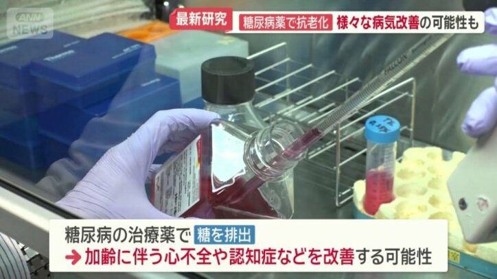 世界中で研究が進む