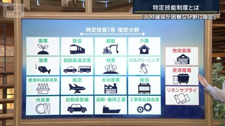 特定技能1号 指定分野