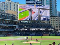 Seiko Darvish『感謝』