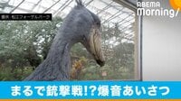ハシビロコウの爆音“あいさつ”