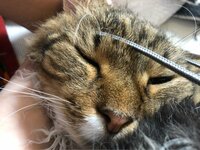 松井玲奈『7/3』