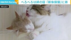 新しくやってきた弟に“ペロペロ”の愛情表現「親子のような感じ」 これまでの“相棒”には見向きもせず