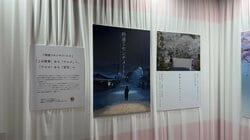 『秒速5センチメートル』の貴重な資料の数々が！「AnimeJapan 2026」コミックス・ウェーブ・フィルム展示レポート