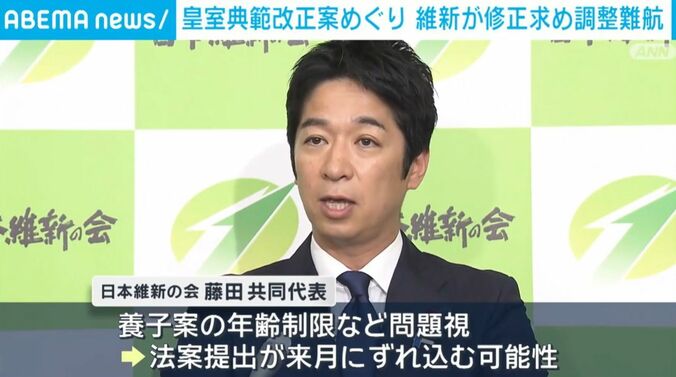 藤田共同代表