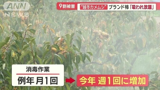 消毒作業は月1回から週1回に