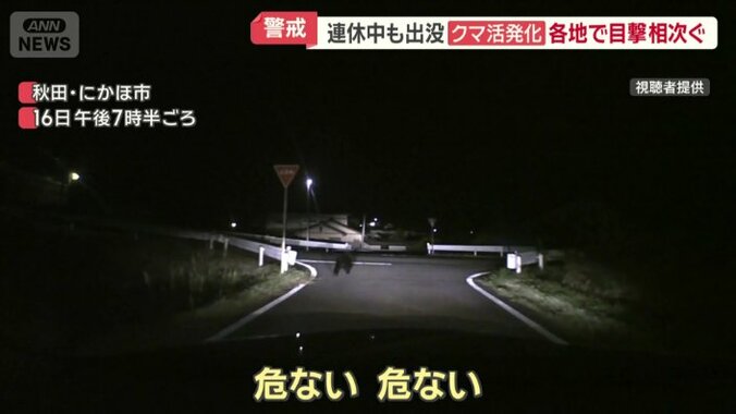 秋田・にかほ市に出没したクマ