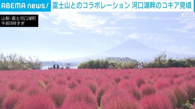 山梨・富士河口湖町の公園