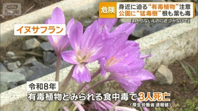 有毒植物とみられる食中毒で3人死亡