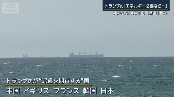 「派遣を期待する」としている