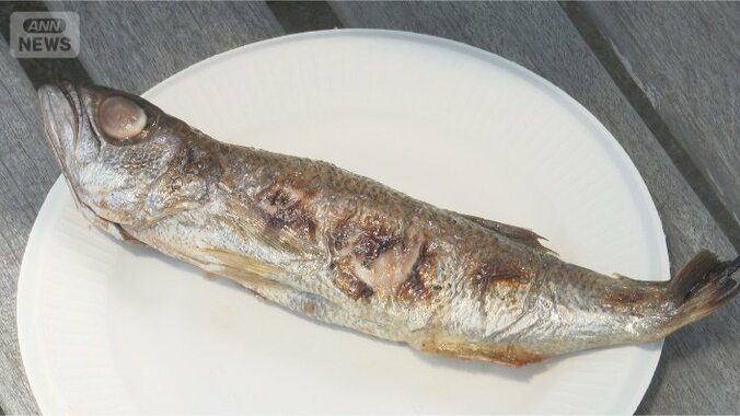 紙浩之さんのキッチンカーで焼いた焼き魚