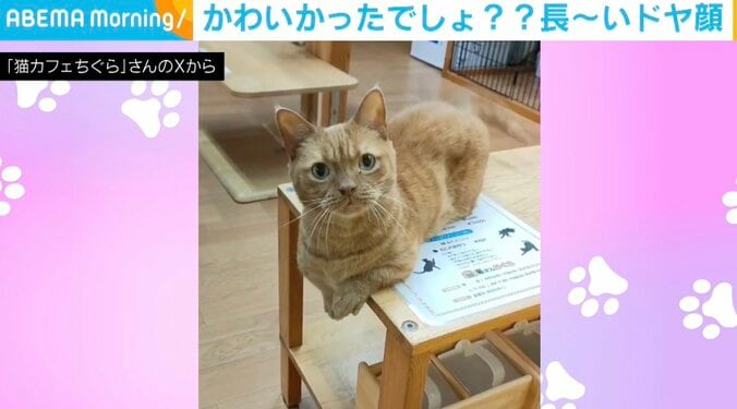 カメラ目線でドヤ顔披露