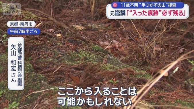 コケが潰れていると…